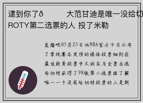 逮到你了😈大范甘迪是唯一没给切特ROTY第二选票的人 投了米勒